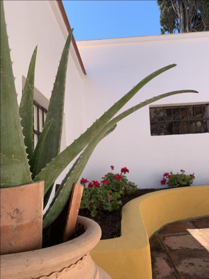 Encantador Apartamento-Centrico-Con Amplio Jardin Torremolinos Eksteriør billede