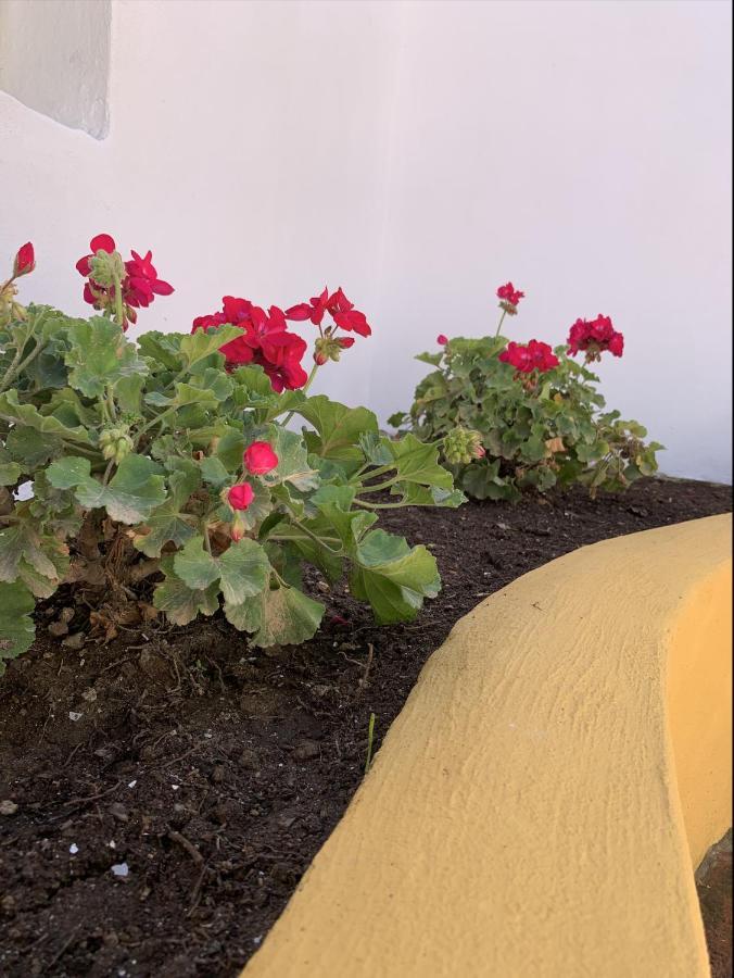 Encantador Apartamento-Centrico-Con Amplio Jardin Torremolinos Eksteriør billede